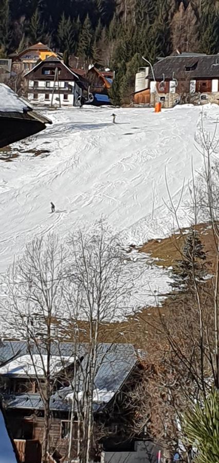 Appartement Liisa Bad Kleinkirchheim Kültér fotó