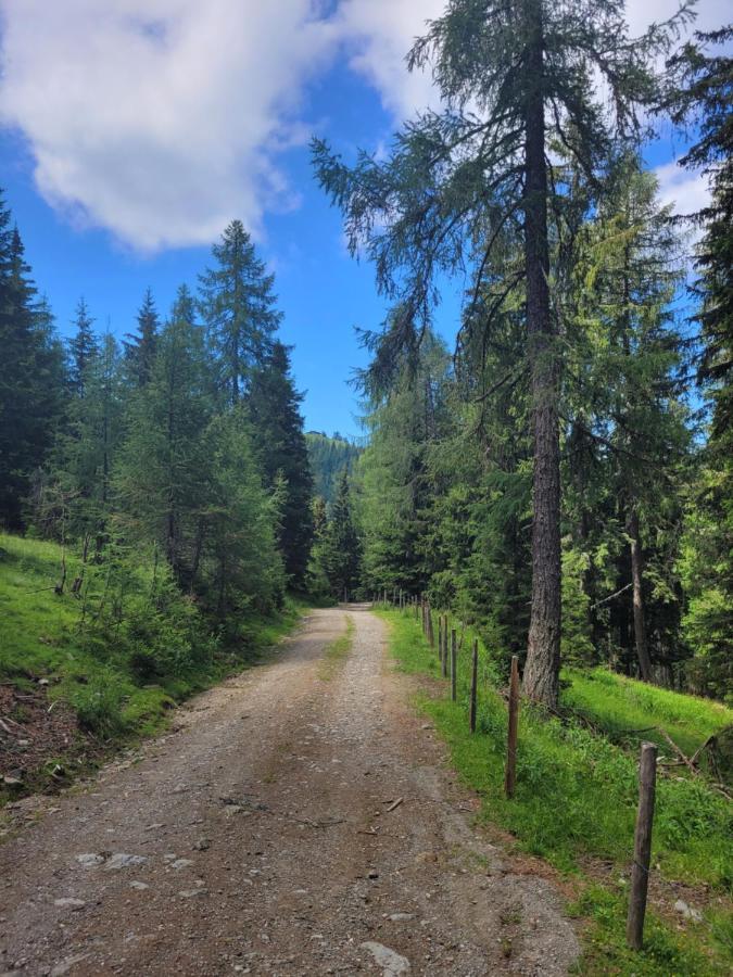 Appartement Liisa Bad Kleinkirchheim Kültér fotó